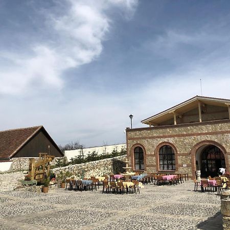 Conacul Maria Theresa Orlat Buitenkant foto