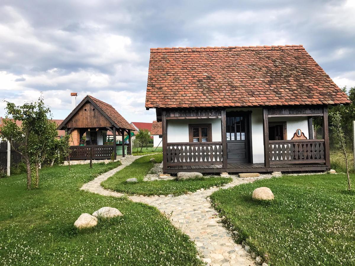 Conacul Maria Theresa Orlat Buitenkant foto